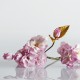 l-art-exquis-des-fleurs-en-sucre (1)