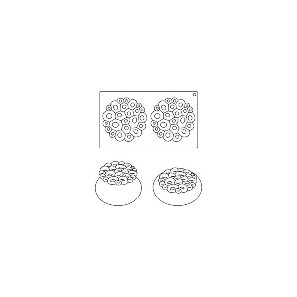 Pavoni – Moule en silicone CORAL – top09 – Image 2