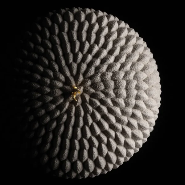 Silikomart 3D Design moule- Honoré – Image 3