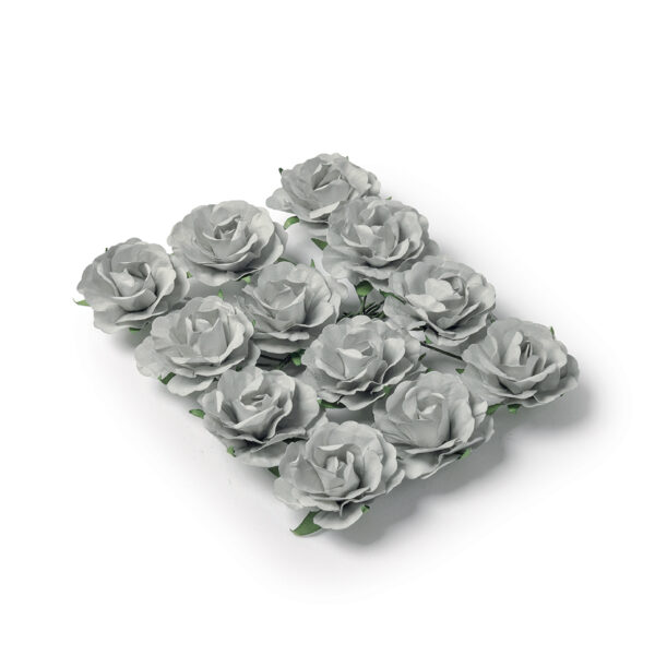 12 Roses grise