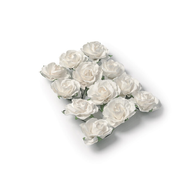 12 roses blanche