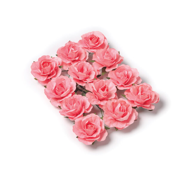 12 roses corail