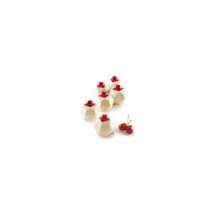 Moule  Silikomart kit Cosmos 105