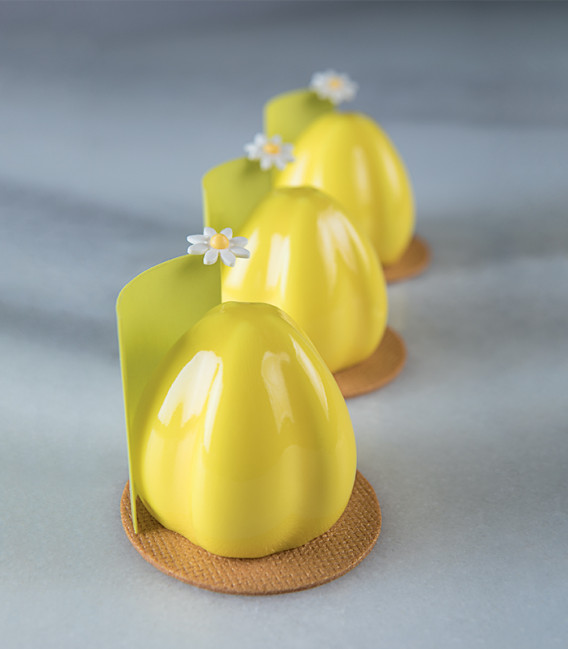Lotus - Moule silicone Pavoni Italia - 20 empreintes
