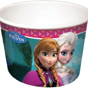 Pots à Glace Disney la Reine des Neiges