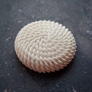 Moule silicone Saint-Honoré Pavoni by Cédric Grolet